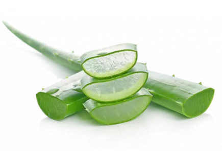 Poudre d'Aloe Vera - WAAM