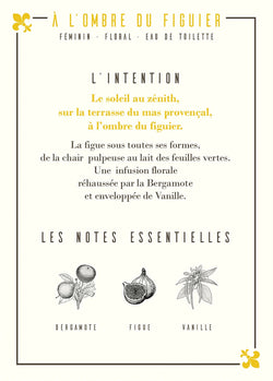 À l'Ombre du Figuier Eau de Parfum (50 ml) - Les Parfums d'Uzège