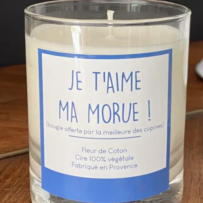 Bougie Humoristique (Parfum Varié) - Les Vilaines Filles