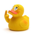 Canard Stinkefinger Siggi Humoristique - Duckshop