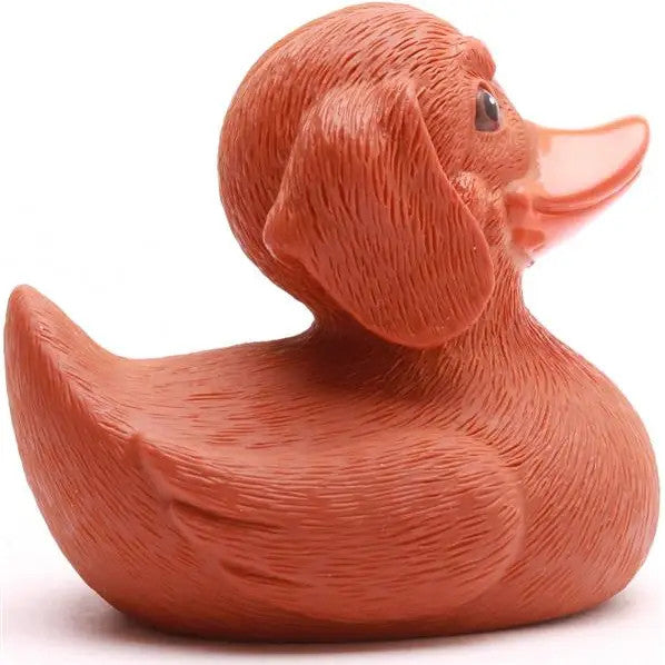 Canard Teckel Couineur en Caoutchouc - Duckshop