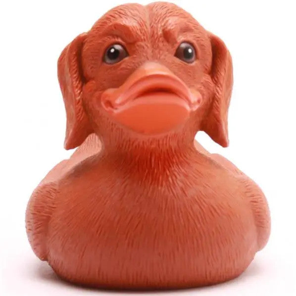 Canard Teckel Couineur en Caoutchouc - Duckshop