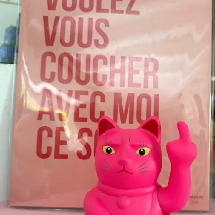 Chat qui fait fuck rose fluo (15 cm) - Les Vilaines Filles