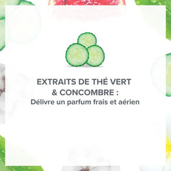 Déodorant Fraîcheur Souffle de Thé Vert & Concombre - Evoluderm