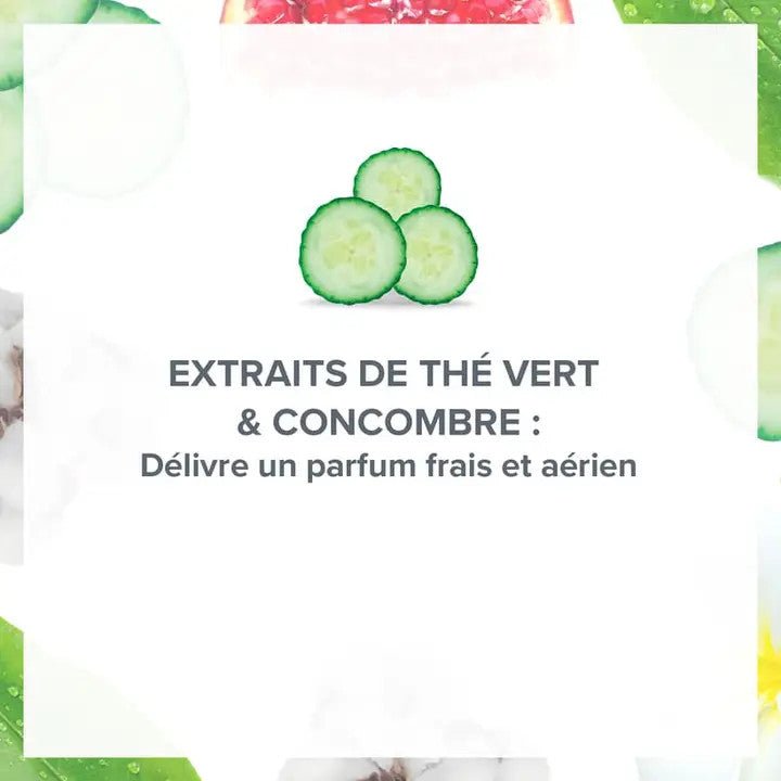 Déodorant Fraîcheur Souffle de Thé Vert & Concombre - Evoluderm