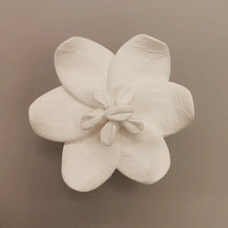 Diffuseur de Parfum Fleur de Jasmin - Anoq