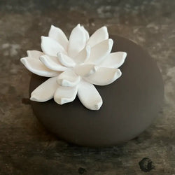 Diffuseur Naturel de Parfum LILI-CAFE - Anoq