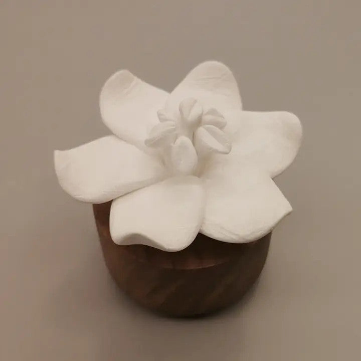Diffuseur Parfum Fleur de Jasmin - Anoq