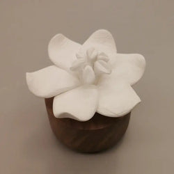 Diffuseur Parfum Fleur de Jasmin - Anoq