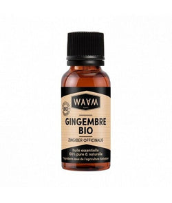Huile Essentielle de Gingembre BIO (10 ml) - WAAM