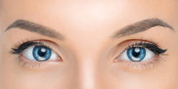 Rehaussement Lash botox — institut Cosmesud à Baillargues