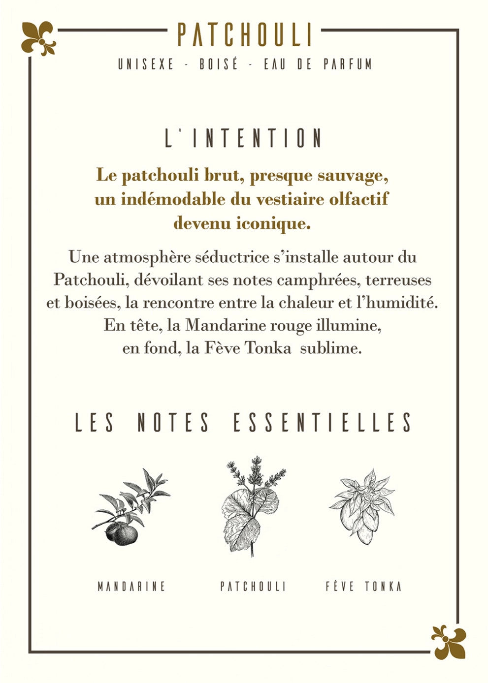 Patchouli Eau de Parfum (50 ml) - Les Parfums d'Uzège
