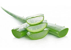 Poudre d'Aloe Vera - WAAM