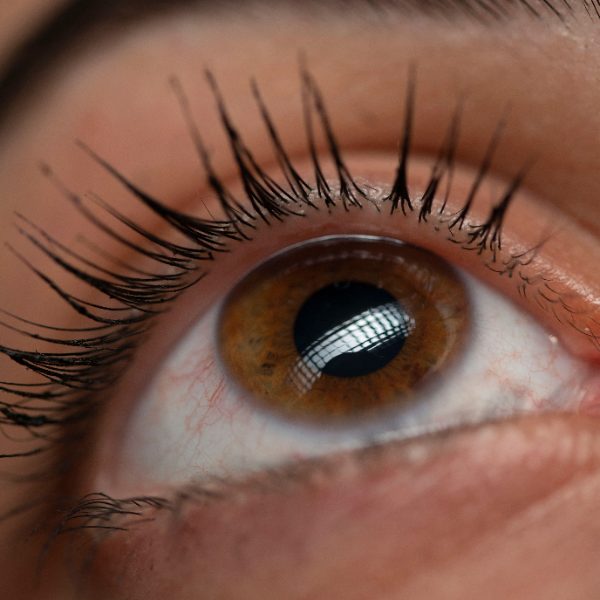 Réhaussement de cils + de sourcils en meme temps